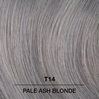 T14 Pale Ash Blonde Hair Toner